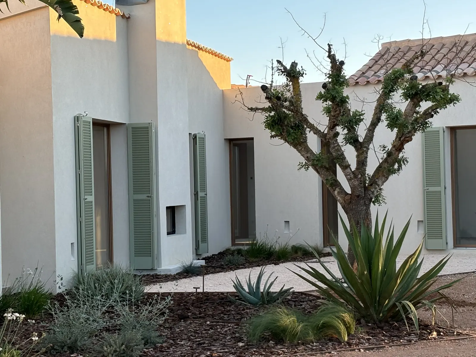 Housing modules with olive tree and agaves