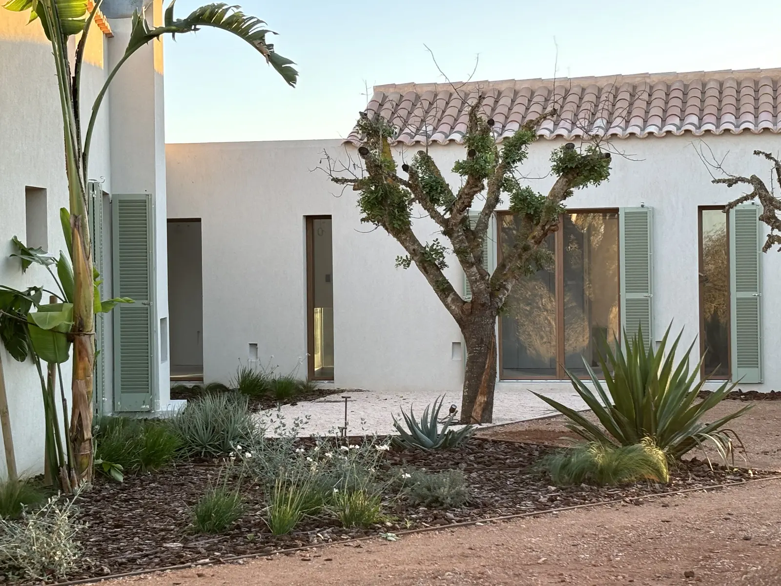 Long facade with trees and gravel garden