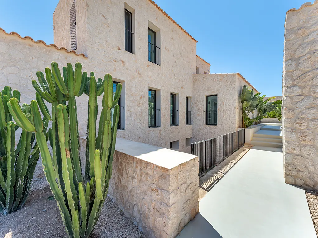 Cacti along the stone facade