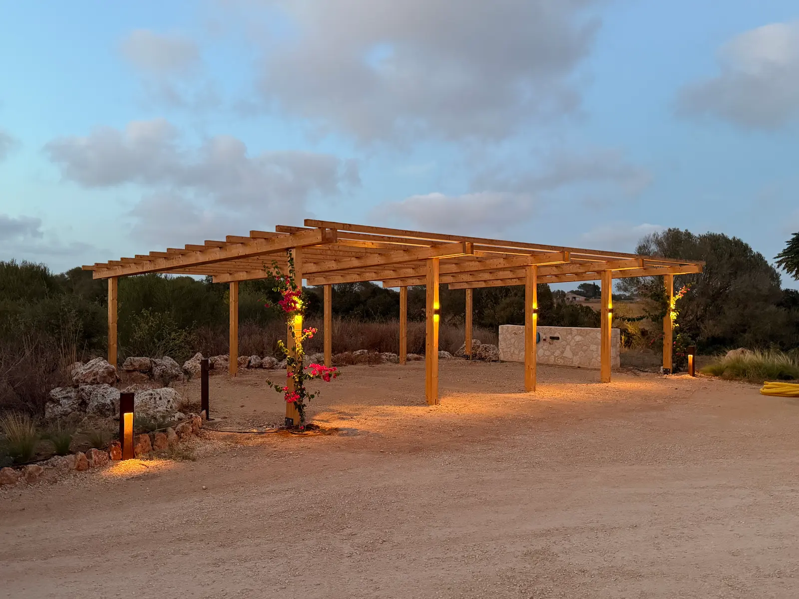 Timber pergola with bougainvillea in evening light